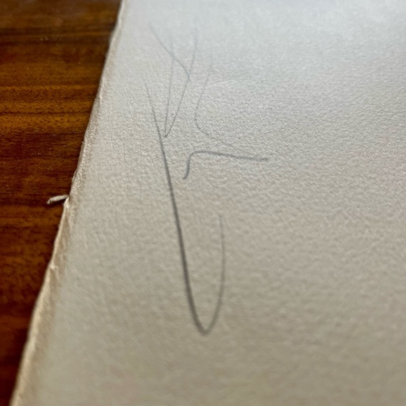 Salvador Dali Signed Limited Edition Lithograph - Picture 15 of 15